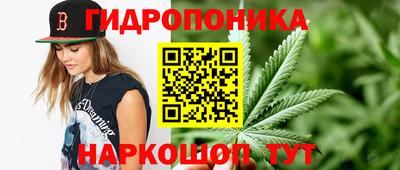 гашиш Кингисепп
