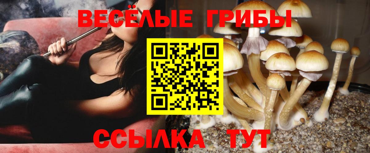 Псилоцибиновые грибы прущие грибы Железноводск